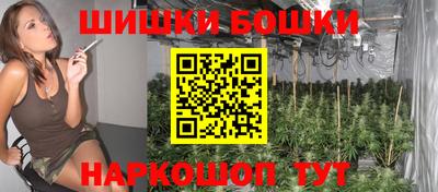 индика Партизанск