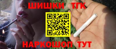 индика Партизанск